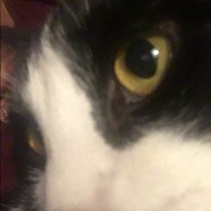 Meet your Posher, Jill